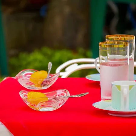Athina's With Garden Ξενοδοχείο με διαμερίσματα Άφυτος