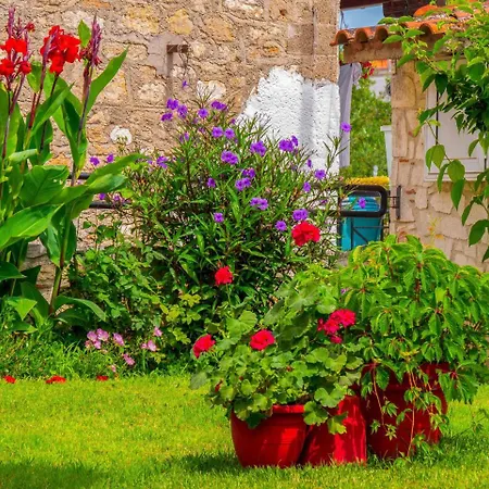 Athina's With Garden